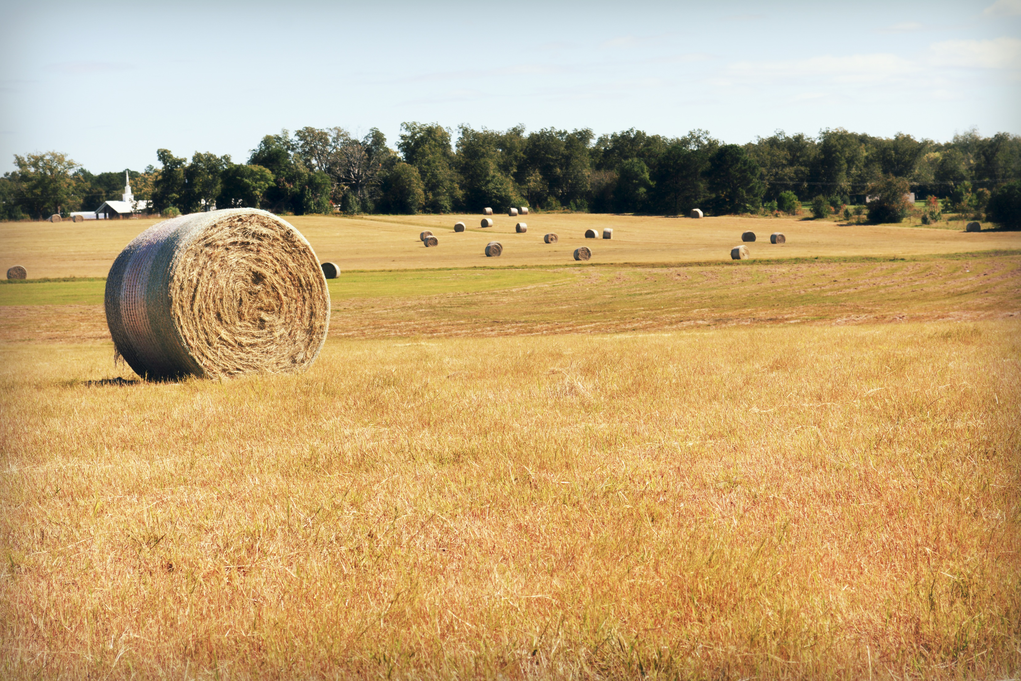 Sve dok zemlje bude...
