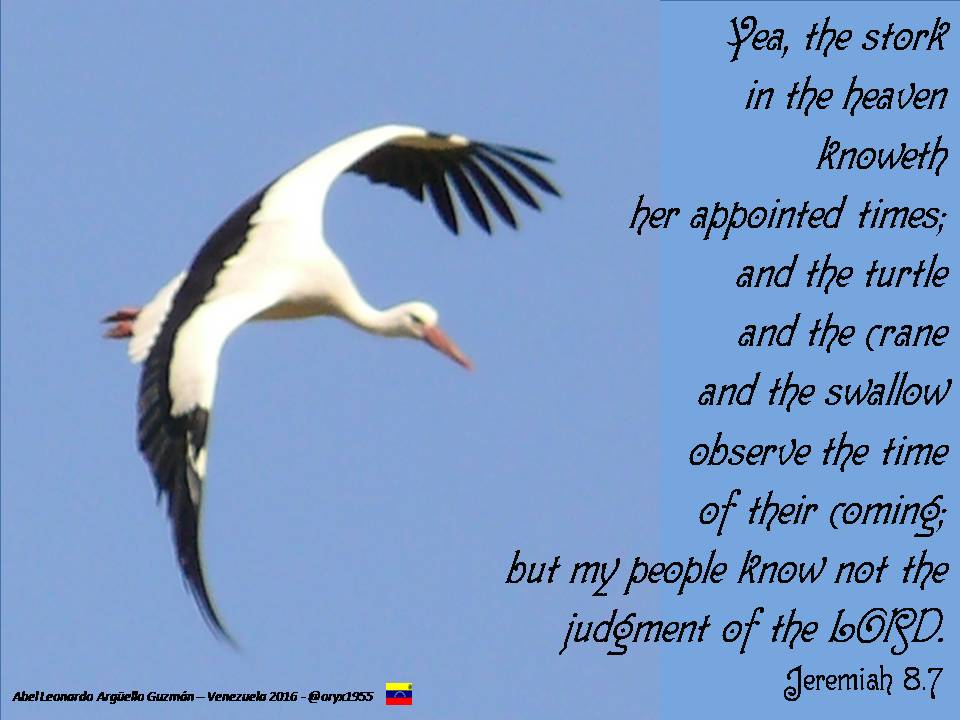 Moj narod ne poznaje...